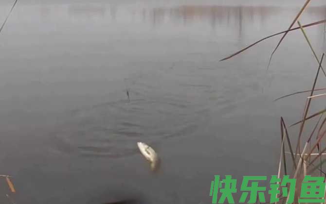 二月份适合钓鱼吗？