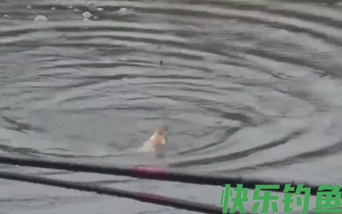 水库钓大鱼最佳深度是多少？
