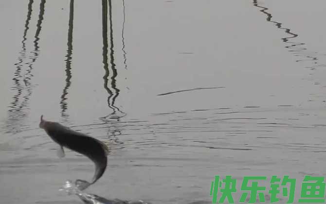 初冬钓鱼什么风向好钓？
