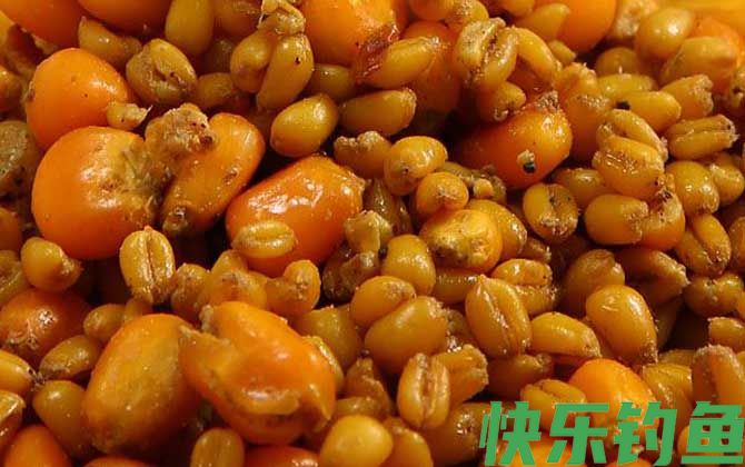 水库钓鱼万能饵料推荐(图4)