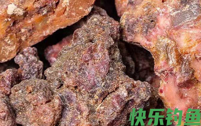 中药阿魏钓鱼怎么用效果好？(图3)