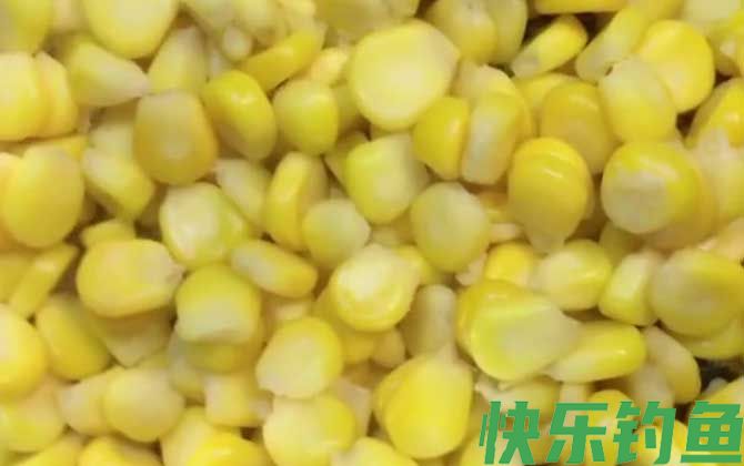 泡嫩玉米钓鲤鱼草鱼配方大全(图4)