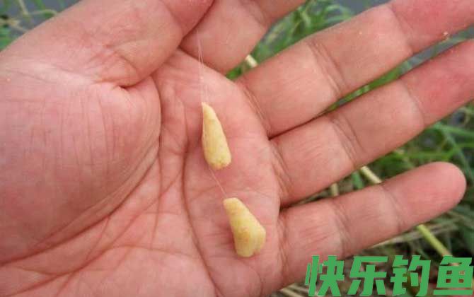 夏季钓鱼用什么饵料？(图2)