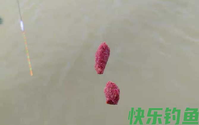 夏季钓鱼用什么饵料？(图6)