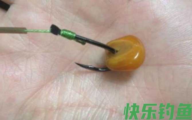 钓鲫鱼能用玉米粒吗?(图4) 钓鲫鱼能用玉米粒吗?(图4)