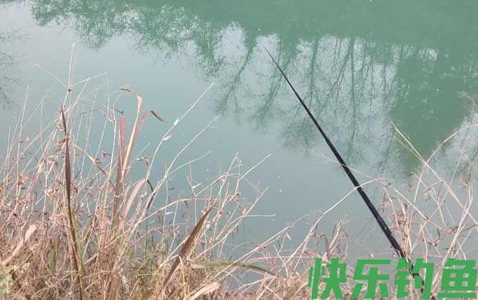 钓鲫鱼什么小药好？(图2)
