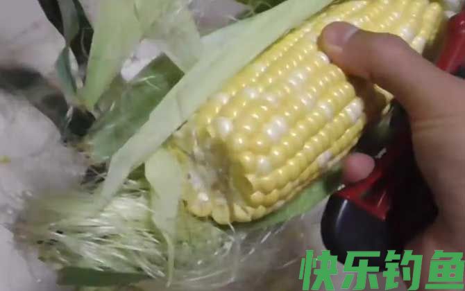 新鲜玉米钓鱼效果好吗？(图2)