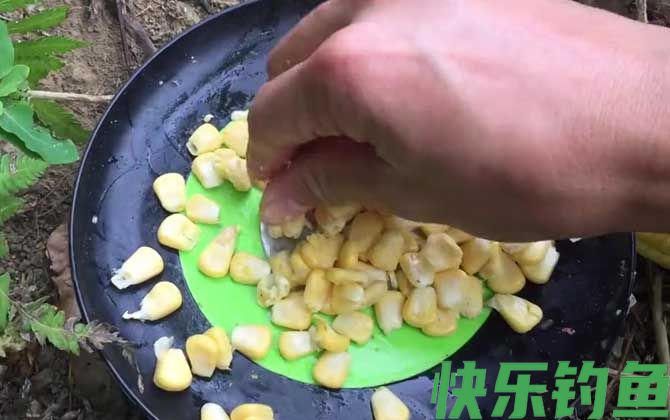 新鲜玉米钓鱼效果好吗？(图1)