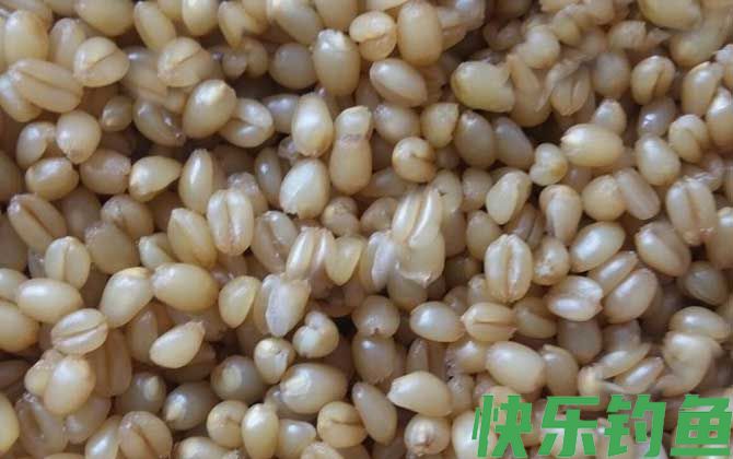野钓公认好用的饵料(图4)