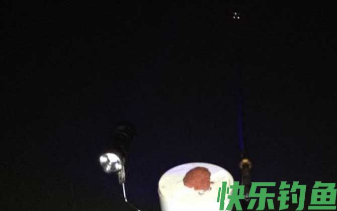 夜钓用蚯蚓还是饵料好？(图2)