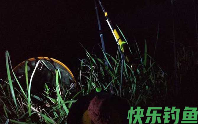 夜钓用蚯蚓还是饵料好？(图4)
