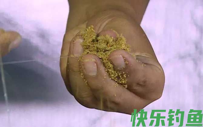 散炮饵料什么牌子好？(图2)