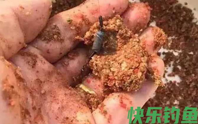 散炮饵料什么牌子好？(图3)