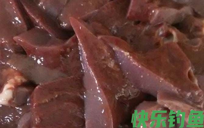 鲶鱼最爱吃三种饵料(图2)