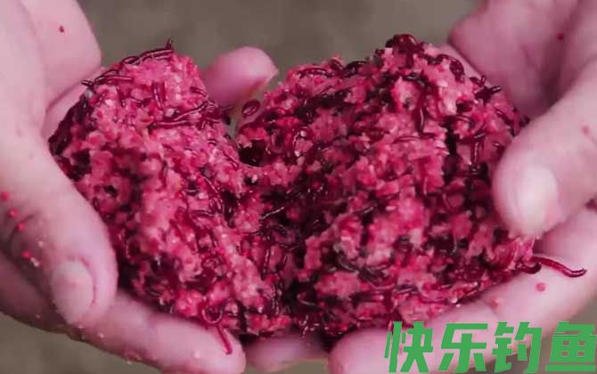 红虫钓鲫鱼什么季节最合适？(图2)