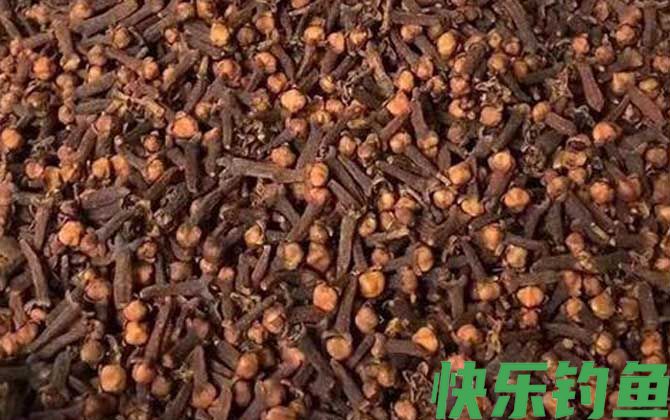 钓鱼为什么禁止用丁香？(图2)