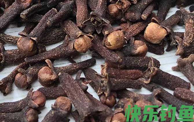 钓鱼为什么禁止用丁香？(图3)