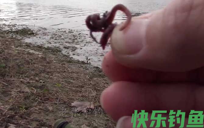 冬季钓鱼用什么味型饵料？(图2)