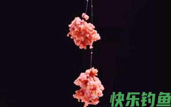 深秋钓鱼用什么饵料最好？(图3)