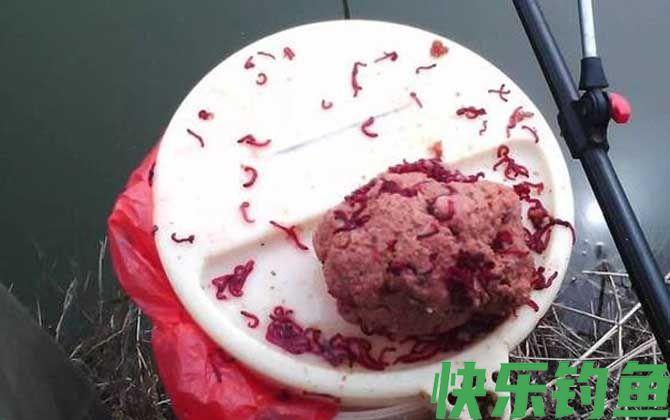 红虫拉饵怎么开饵效果才好？(图4)