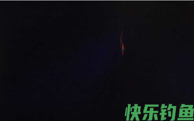 夜钓用什么饵料好？(图3)