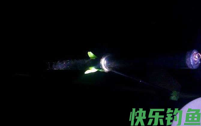 夜钓用什么饵料好？(图2)
