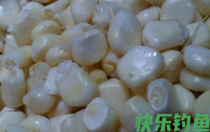 民间自制钓鱼饵料配方大全(图3)