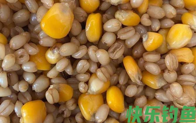 河里野钓用什么饵料？(图3)