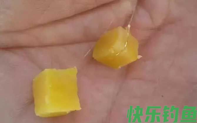 常用的天然钓鱼饵料有哪些？(图5)