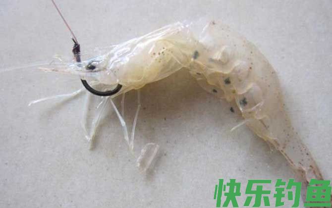 常用的天然钓鱼饵料有哪些？(图7)