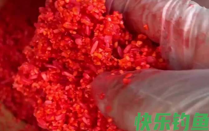 钓鱼诱饵用什么最好？(图1)