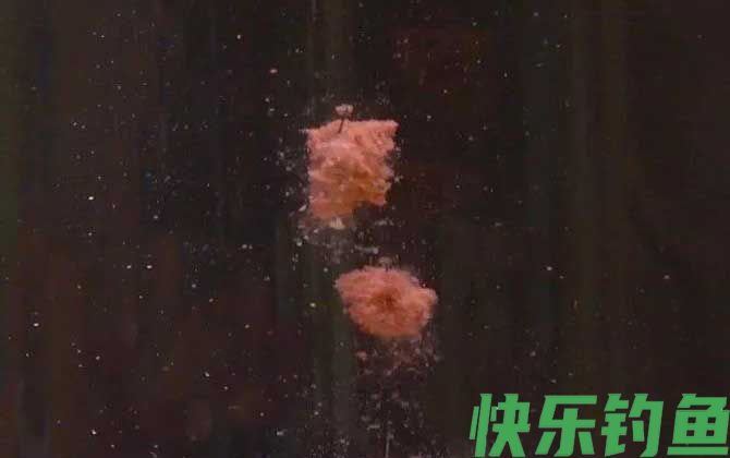 夏季钓鱼用腥味还是香味饵料？(图2)