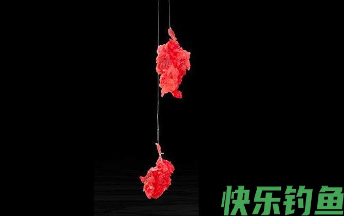 拉饵开饵技巧及注意事项(图5)