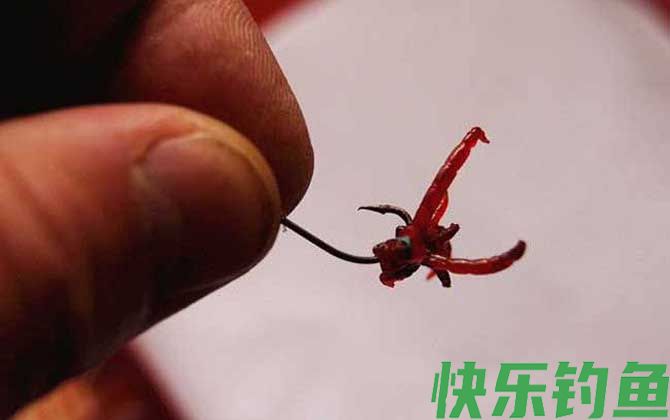 钓鱼用的红虫有毒吗?(图3) 钓鱼用的红虫有毒吗?(图3)
