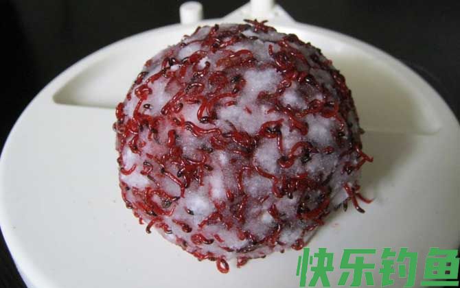冬季钓鱼用红虫还是蚯蚓？(图3)