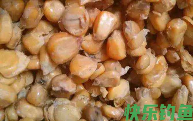 春季钓鱼用什么打窝最好？(图4)