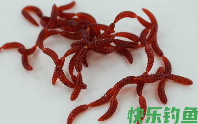 红虫假饵钓鱼效果好不好？(图2)