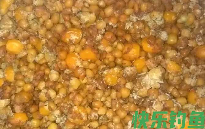 钓草鱼老玉米怎么泡制?(图1) 钓草鱼老玉米怎么泡制?(图1)