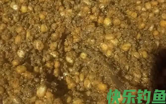 钓草鱼老玉米怎么泡制?(图2) 钓草鱼老玉米怎么泡制?(图2)