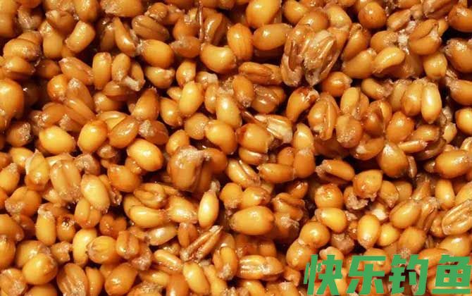 钓草鱼老玉米怎么泡制?(图4) 钓草鱼老玉米怎么泡制?(图4)