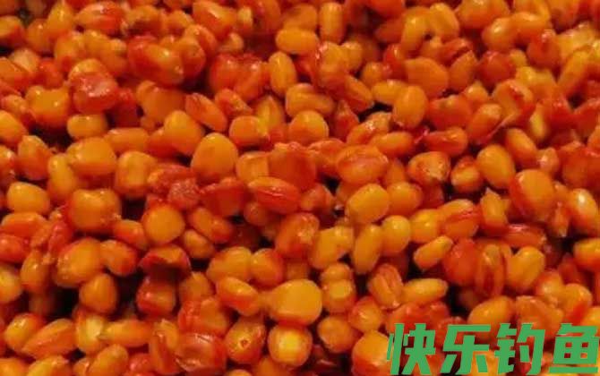 钓草鱼老玉米怎么泡制?(图3) 钓草鱼老玉米怎么泡制?(图3)