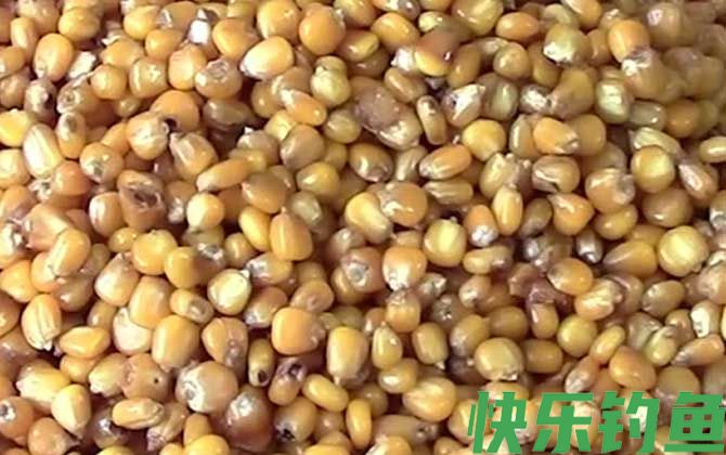 民间钓鱼窝料配方大全(图4)
