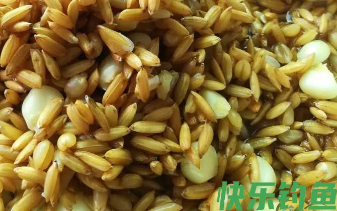 民间钓鱼窝料配方大全(图6)
