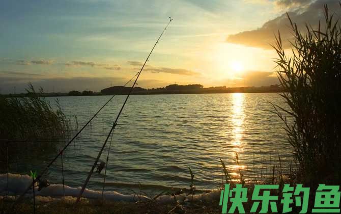 水库钓鱼用什么饵料？(图5)