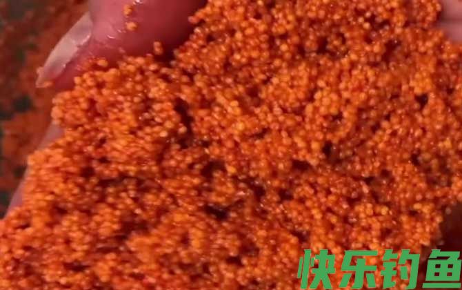酒米打窝用什么饵料钓鱼？(图2)