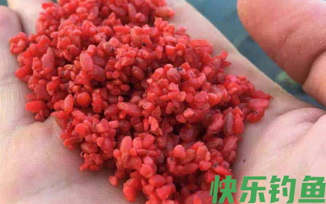 酒米打窝用什么饵料钓鱼？(图4)