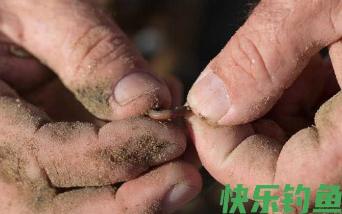蚯蚓钓鱼好钓吗？(图2)