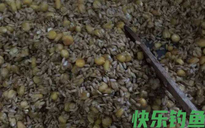 野钓鲫鱼窝料种类及自制配方(图5)