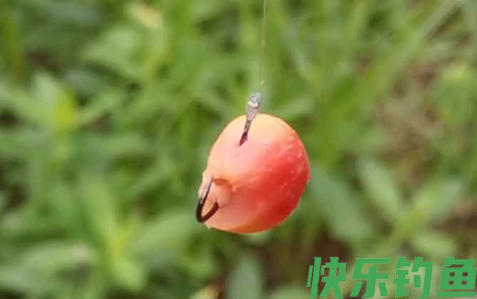 八月钓鱼用什么饵料最好？(图1)