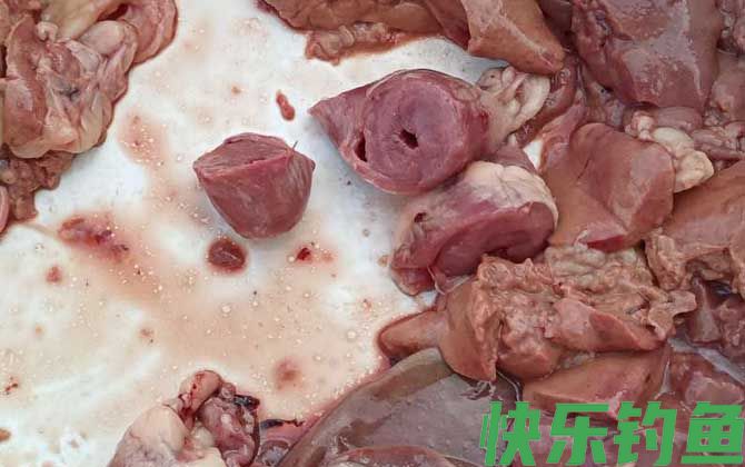 鸡肝钓鱼好还是鸭肝好？(图2)